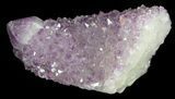 Beautiful Cactus Quartz (Amethyst) Crystal - South Africa #44786-1